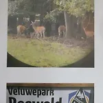 Chalet Veluwepark Reewold #chalet Buizerd# Tussen Het Bosrijke En Garderen