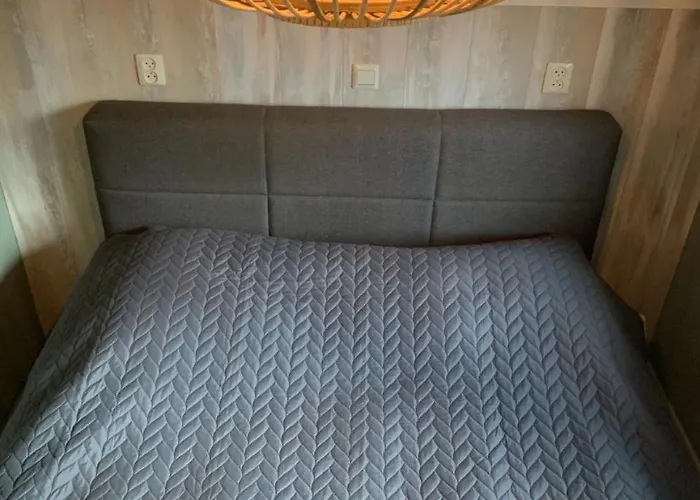 Veluwepark Reewold #chalet Buizerd# Tussen Het Bosrijke En Garderen *