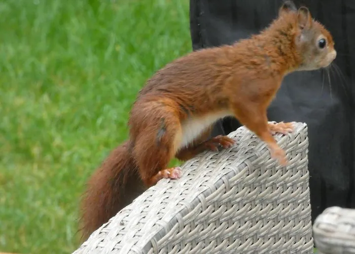 Veluwepark Reewold #chalet Buizerd# Tussen Het Bosrijke En Garderen 푸텐